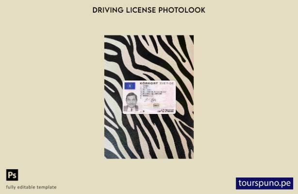listo para imprimir Suecia DL ( ) plantilla de fotolook FRONTAL